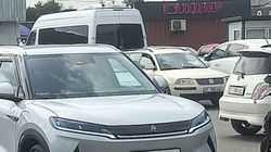 Автомобиль BYD оставили на «зебре». Фото