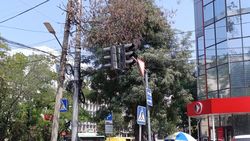 На Киевской—Панфилова не работают светофоры. Фото, видео