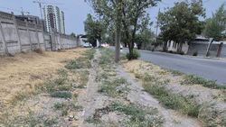 Как выглядит тротуар на Баха. Фото