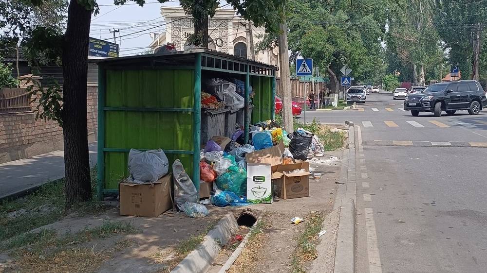 Горожанин сообщает о мусоре на ул.Дзержинской. Фото