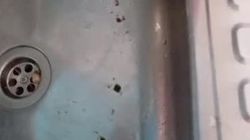 В селе Ак-Бекет второй день нет воды. Видео жителя