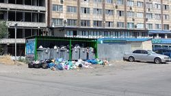 Мусорные баки на ул.Салиевой забиты. Фото