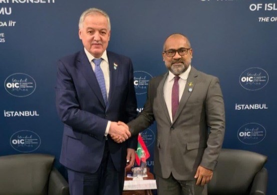 Foreign Ministers of Tajikistan and Maldives hold meeting