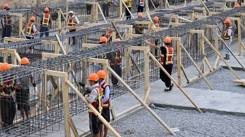 выдача лицензий