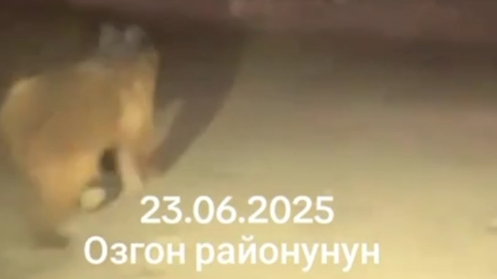 Кадр из видео