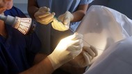 Государство берет под контроль ЭКО — новые правила для клиник. Интервью