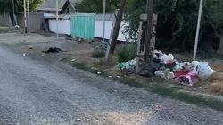 В Московском районе больше месяца не убирают мусор. Видео жителя
