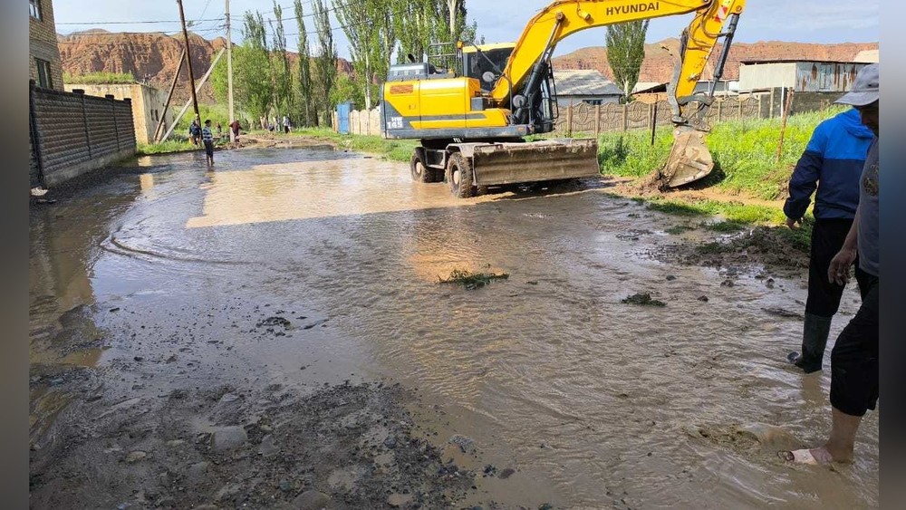 Иллюстрациялык сүрөт