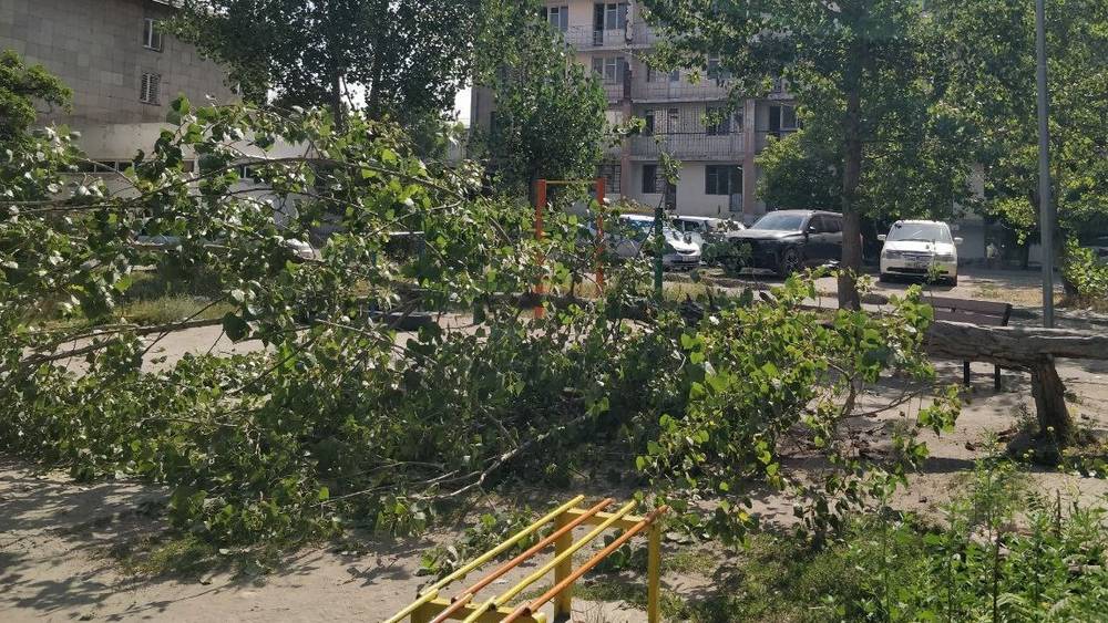 Во дворе дома в 8 мкр упало дерево. Фото