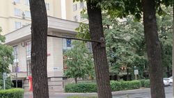 «Бишкекзеленстрой» поручили убрать турник между деревьями на Тоголок Молдо