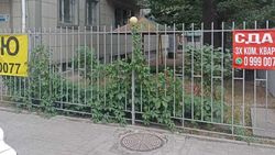 Забор у дома по Раззакова демонтировали после жалобы горожанина. Фото