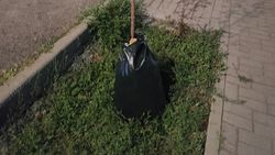 Вода в мешках возле саженцев сильно нагревается, - горожанин