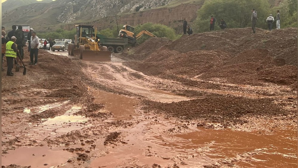 Иллюстрациялык сүрөт