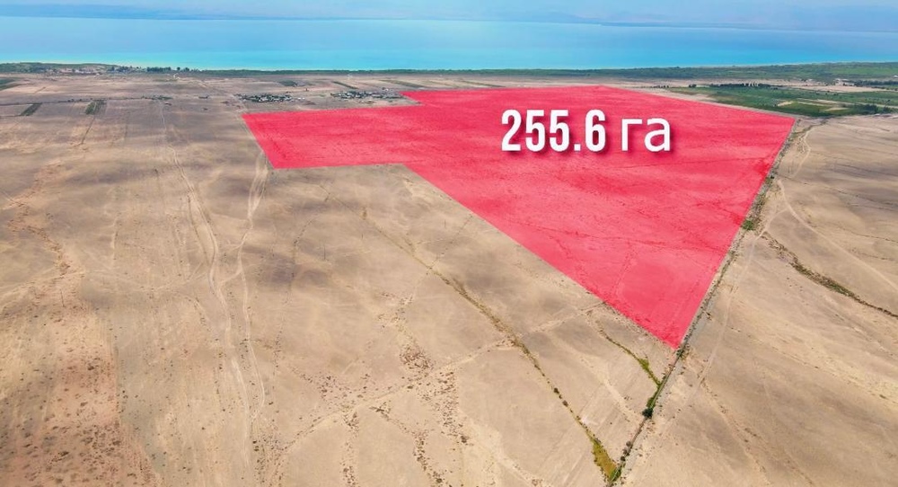 Иллюстративное фото