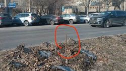 Горожанин предлагает убрать железные трубы для полива. Ответ мэрии