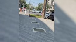 Жительница пожаловалась на спиленные деревья на Моссовете. Видео