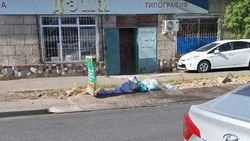 В мэрии Бишкека ответили по мусорным бакам на улице Карасаева