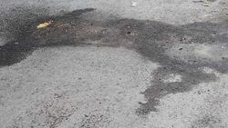 Из дома в Первомайском районе на дорогу вытекает жижа. Фото