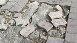 Горожанин жалуется на состояние остановки возле университета «Манас». Фото