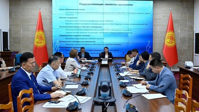 Kyrgyz Parliament discusses implementation of perinatal screening program