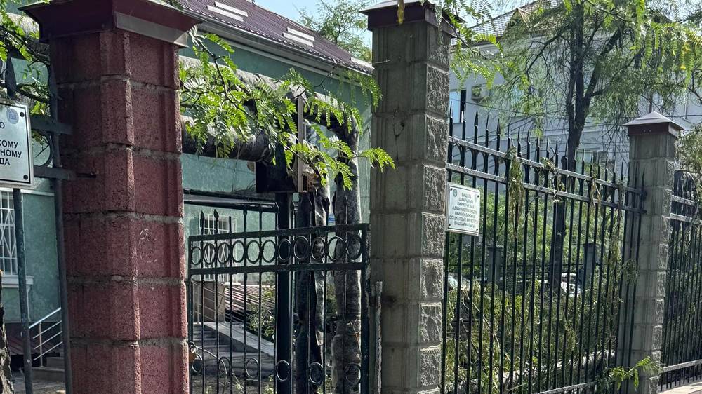 В муниципальной инспекции рассказали, зачем вырубили деревья на своей территории
