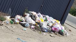 Мусор на ул.Кривоносова убрали, - мэрия Мусор на ул.Кривоносова убрали, - мэрия