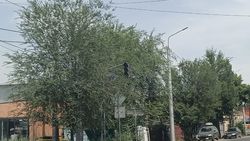 На Лермонтова не работает светофор. Фото