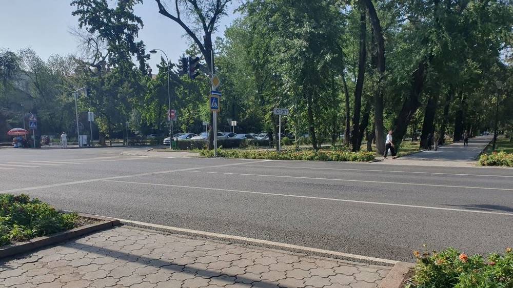 После ремонта дороги на Молодой Гвардии не нанесли разметку пешеходных переходов. Фото