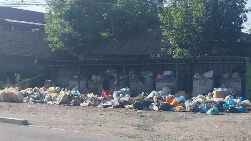 Мусор на ул.Куренкеева не убирает третий день. Фото