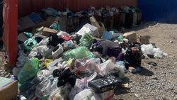 Гора мусора на Фучика. Фото