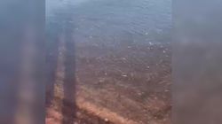 Отдыхающий на Иссык-Куле пожаловался на отходы ГСМ от скутеров. Видео