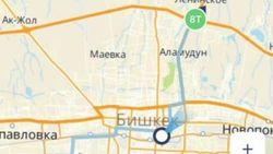 Горожанка жалуется на работу автобуса 8т. Ответ мэрии