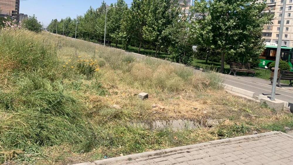 Стихийную точку по продаже арбузов на Южной магистрали снова убрали. Видео