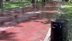 На бульваре Эркиндик вместе с газоном поливают и аллеи. Видео