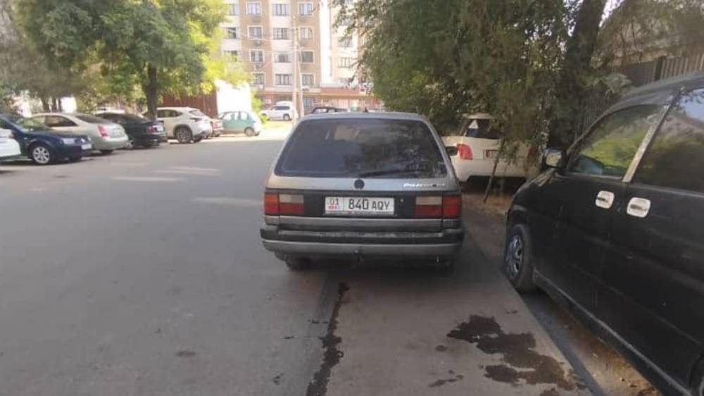 «Пассат» стоит на тротуаре в Лебединовке. Фото