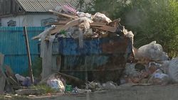 Два села Московского района завалены мусором. Видео и фото жителя