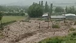В Тюпском районе сошли селевые потоки. Видео