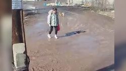 «Тазалыку» поручили отремонтировать мост в Маевке