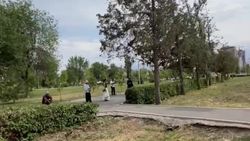 Пассажиры прячутся от солнца в тени. Видео