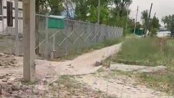 «Удивительная жизнь» тротуара в селе Люксембург. Видео жителя