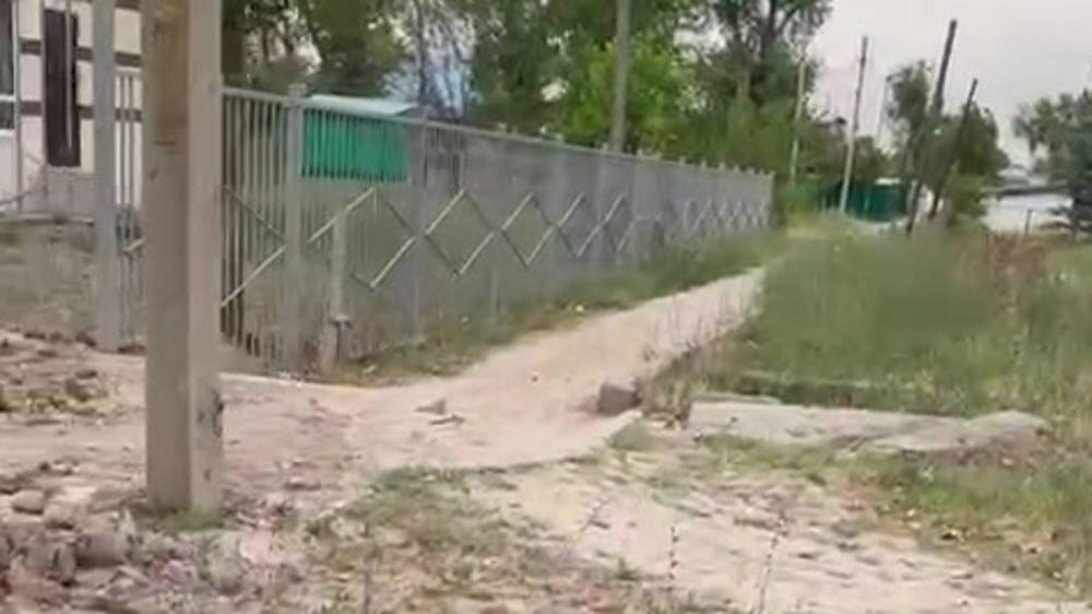 «Удивительная жизнь» тротуара в селе Люксембург. Видео жителя