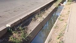 Арык на ул.Кольбоева превратился в болото. Видео горожанина