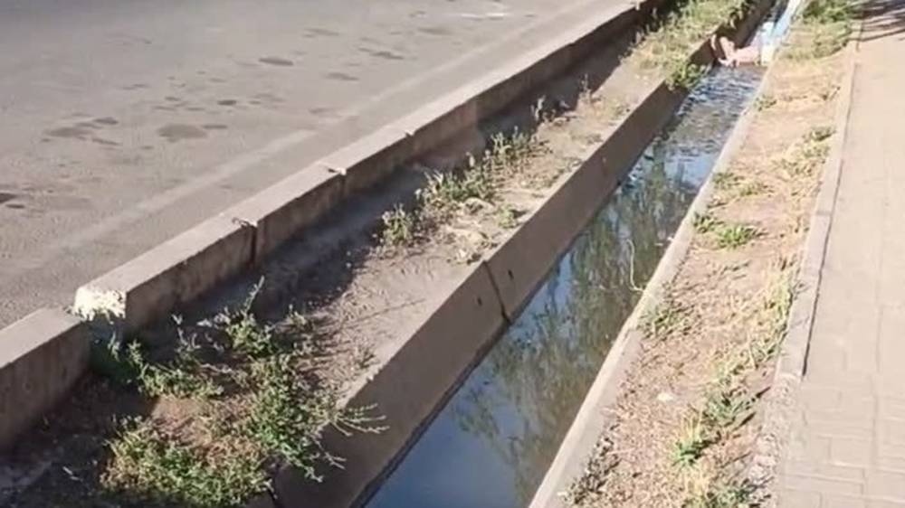 Арык на ул.Кольбоева превратился в болото. Видео горожанина