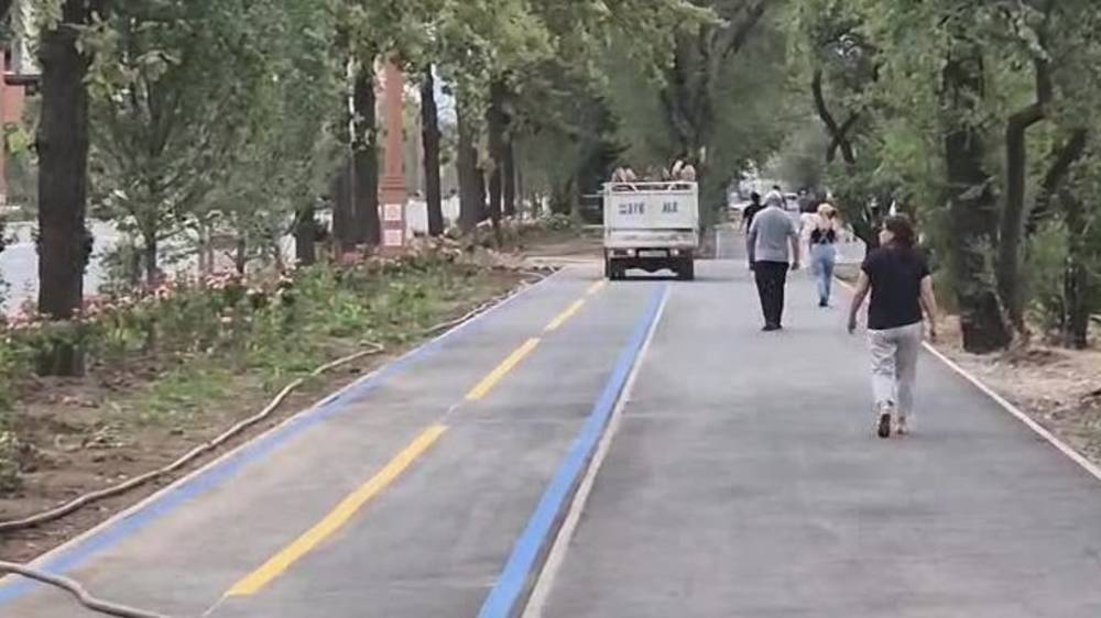 «Портер» едет по новому тротуару на Айтматова. Видео