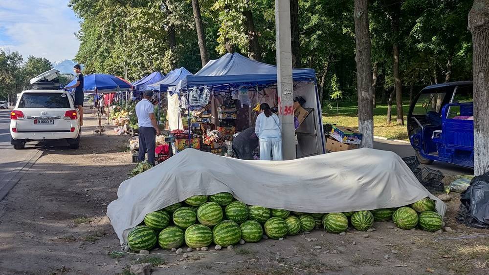Во что «превратилась» зеленая зона на Бакаева после того, как прогнали торговцев арбузами. Ответ мэрии