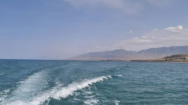 Иллюстрациялык сүрөт