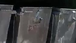 «Тазалык» вывез мусор на Ибраимова. Видео мэрии
