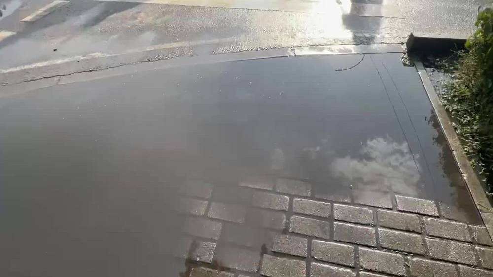Лужа на тротуаре по проспекту Чуй. Видео