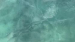 Разлив топлива в воде на Иссык-Куле. Видео отдыхающего