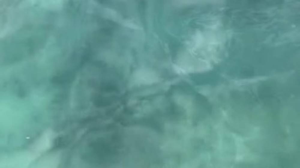 Разлив топлива в воде на Иссык-Куле. Видео отдыхающего